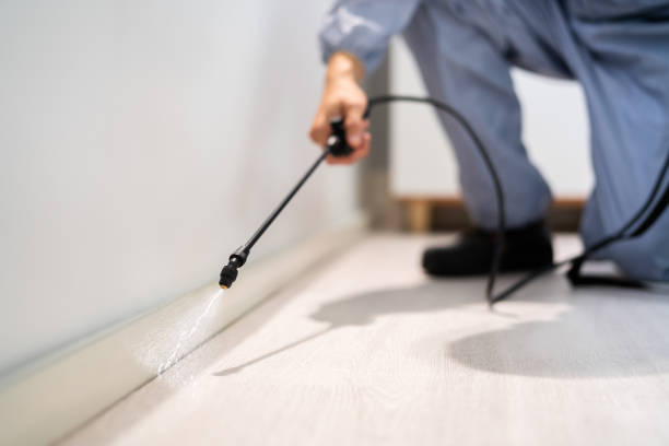 Licensed Termite Control service in Petersburg, VA - Nex Pest Control
