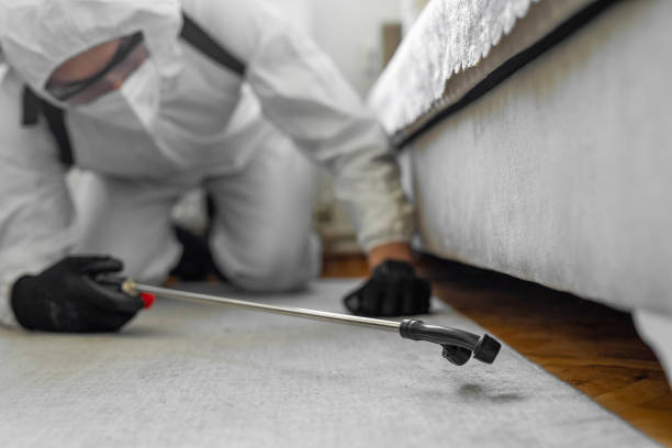 Professional Termite Control technician working in Petersburg, VA