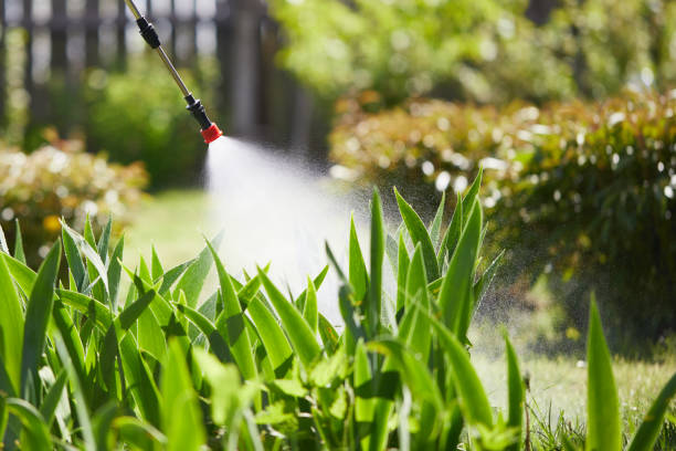 24/7 Emergency Termite Control experts in Petersburg, VA