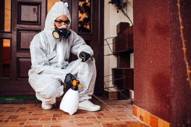 Reliable Termite Control contractor in Petersburg, VA by Nex Pest Control