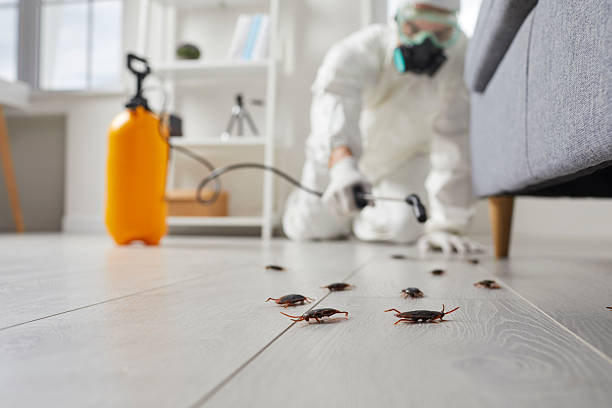 Trusted Cockroach Control service in Petersburg, VA - Nex Pest Control