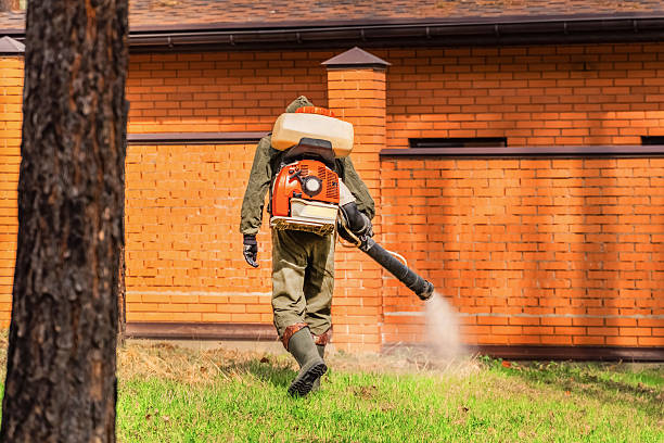 Trusted Ant Control service in Petersburg, VA - Nex Pest Control